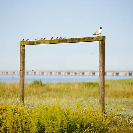 Strandcamping